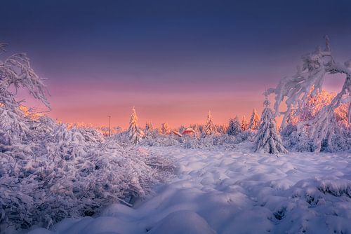 Coucher de soleil sur une forêt enneigée à Malmedy, Belgique