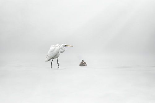 Fogy sunset by Jiří Švestka