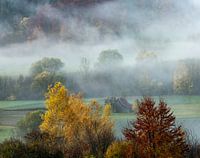 The changing colors of the trees