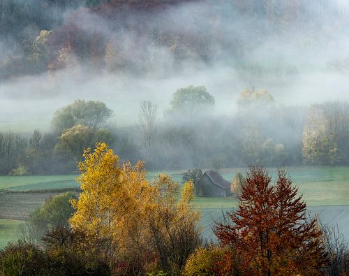 De veranderende kleuren van de bomen