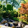 Japanischer Garten von Oliver März