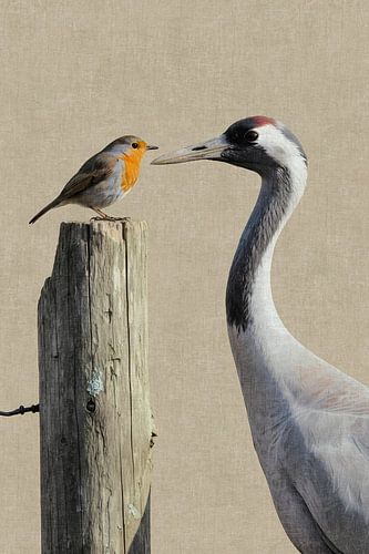 Kraanvogel met Roodborstje – Surrealistische Vogelkunst in Zachte Tinten