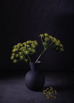 Nature morte, Aneth (Anethum Graveolens) dans un vase sur Oda Slofstra
