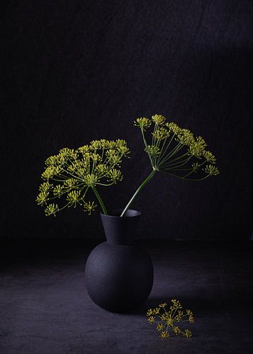 Stilleben, Dill (Anethum Graveolens) in Vase
