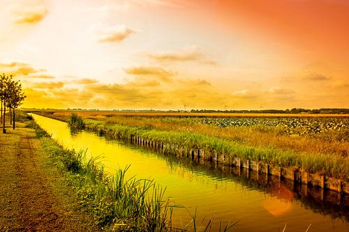 Stompetoren op zijn mooist