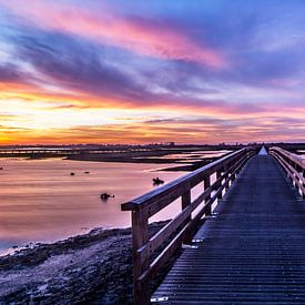 Bridge nature reserve 'tRoegwold by Gert Brink