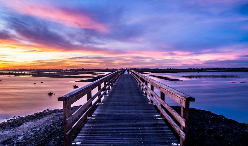 Brug natuurgebied 'tRoegwold van Gert Brink