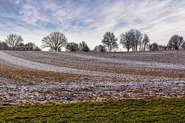 Een vleugje winter in de Piepert (Heuvelland, Zuid-Limburg, Nederland)