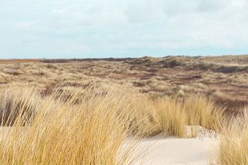 Hollandse duinen van Annelou de Man
