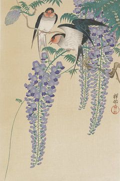 Swallows und Wisteria, Ohara Koson