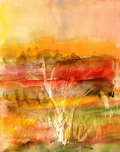 Nature Light
