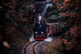 Harz narrow gauge railway in autumn by Oliver Henze