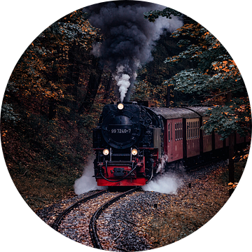 Harz smalspoor in de herfst van Oliver Henze