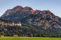 Alpine gloed bij kasteel Neuschwanstein