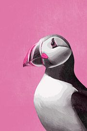 Macareux en rose sur Whale & Sons