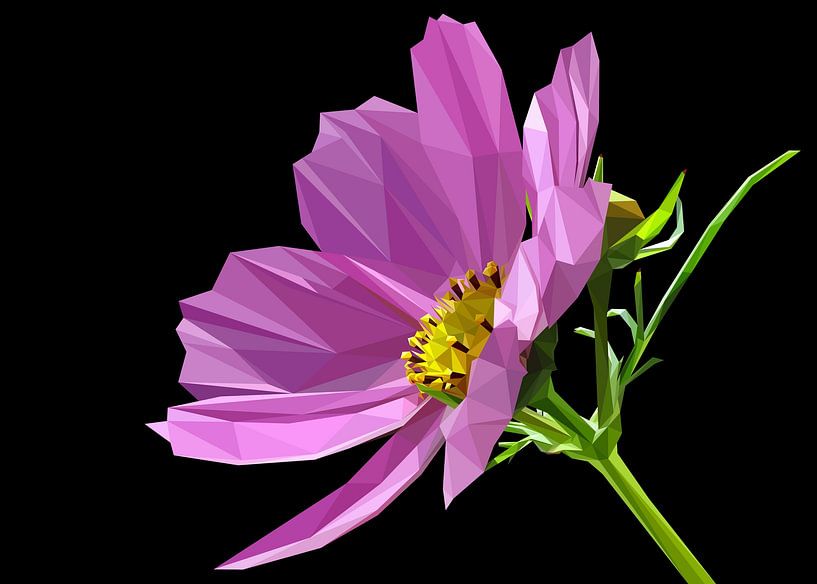 Garten Kosmos Blume in abstrakte Lowpoly von Yoga Art 15