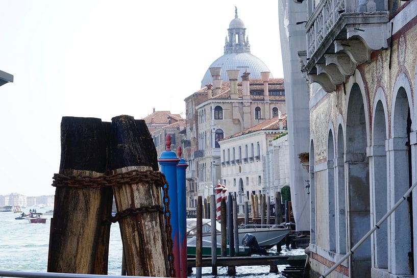 Venice by Fred Bogers