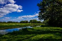 landschap aan het water