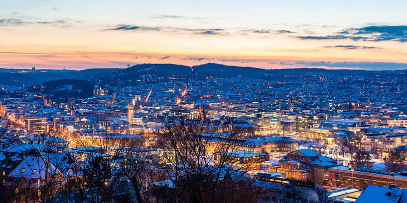 Winter in Stuttgart van Werner Dieterich