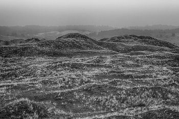Winter über den Dünen