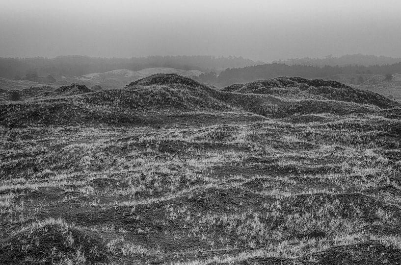 Winter over the dunes by jeroen akkerman