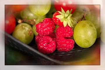 Fruits sur Rob Boon