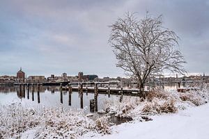 Blick über die Warnow auf die Hansestadt Rostock im Winter