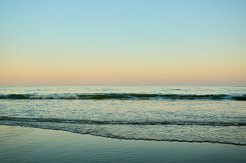 Whispers of the Horizon