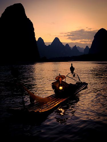 Traditionele aalscholver visser