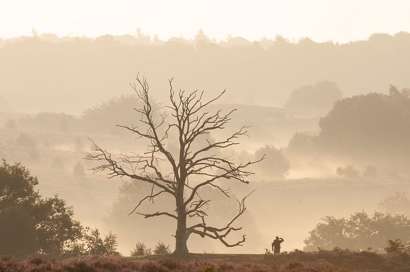 Foggy sunrise Posbank by Nancy van Verseveld