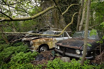 Verlaten roestige auto's in het bos van Vivian Teuns