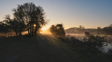 Sunrise in the Amsterdam water supply dunes North Holland