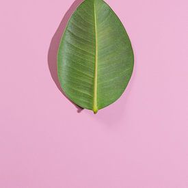 Minimalistic Leaf by WvH