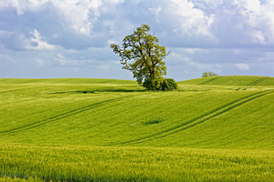 Frühsommer-Idylle in der Holsteinischen Schweiz