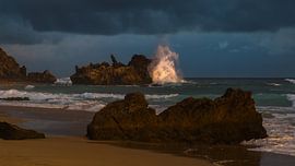 Tempête qui approche sur Peter Leenen