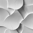 Organic Composition of White Shapes by Color Square thumbnail
