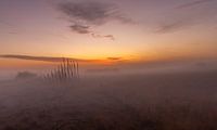 Fog in the peel