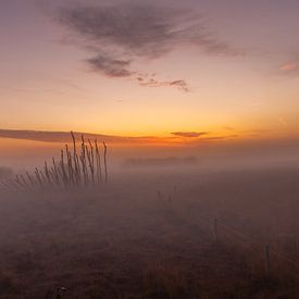 Brouillard dans la peau sur Jan van de Riet