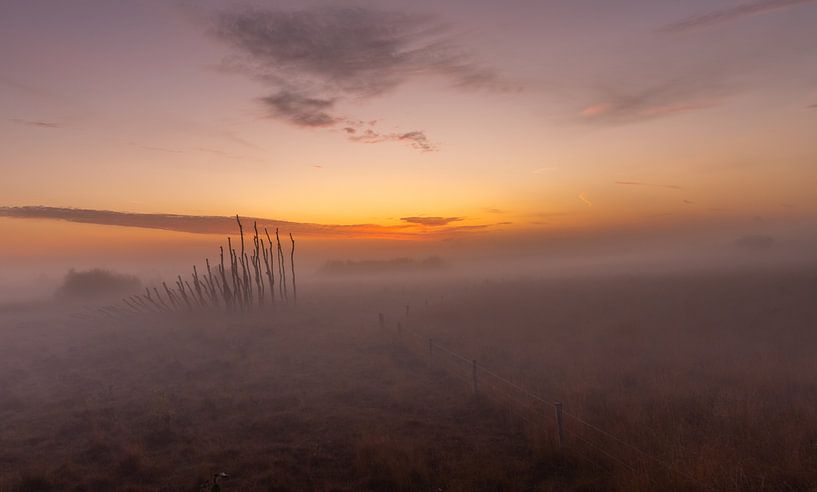 Fog in the peel by Jan van de Riet