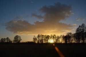 Nationaal park De Groote Peel