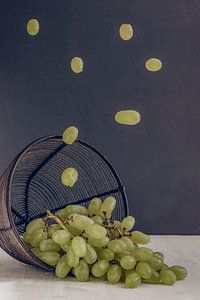 Flying Food - Grape Circus sur Gaby Mohr