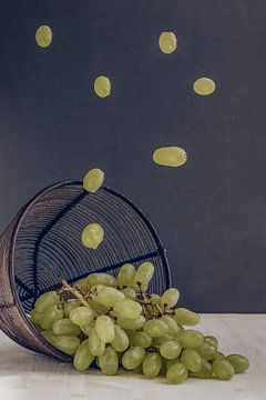 Vliegend voedsel - Druivencircus van Gaby Mohr
