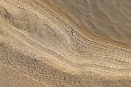 Zand op het strand van Noortje van Roosmalen