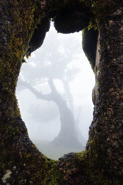 Window to another world by Martin Podt