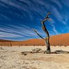 Deadvlei I van Anneke Hooijer