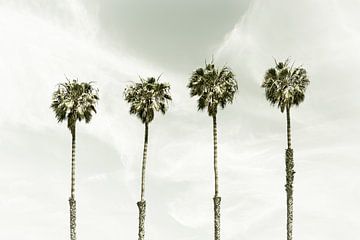 Palmbomen op het strand met Sky | Vintage van Melanie Viola