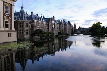 Weerspiegeling van het Binnenhof in Den Haag van Daphne Dorrestijn