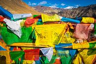 Kleurige gebedsvlaggen in de bergen van Tibet van Rietje Bulthuis thumbnail