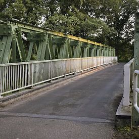Miekoek-Brücke 02 von H,M SOETENS