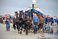 Pferderettungsboot Ameland